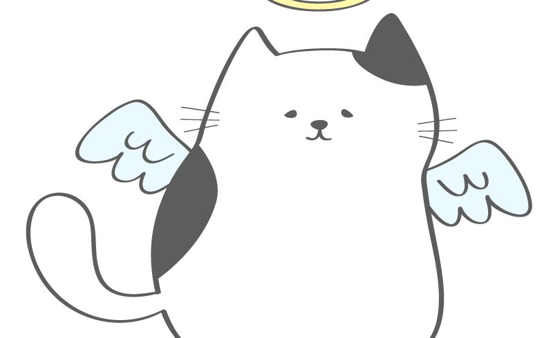 drawing of cat angel